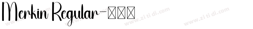 Merkin Regular字体转换